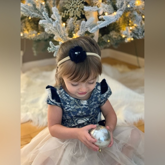 Biscotti Navy and Lace Champagne Tulle Dress with Bow, Girls 2T - Like New - Picture 8 of 8